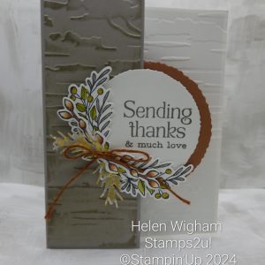 Nests of Winter featuring the Winterly Tree Tops Bundle